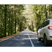 You Can See the Forest for the Trees: Navigating Automotive Supply and Demand Dynamics in a Growing Inventory Environment